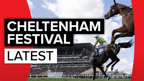 latest cheltenham festival news